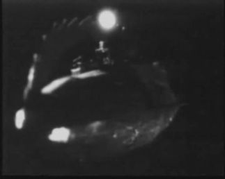 Le Nautilus (Carles Portabella / Lluis Portabella) / Le capitaine Nemo (Enrique Ibez) - Nemo (Jess Garay, 1977)