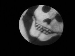 L'le Mystrieuse (Pierre Badel, 1963)
