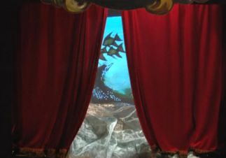 20 000 mille lieues sous les mers (Christine Darrigade, Cline Le Pape, 2010)