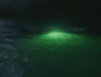 20,000 Leagues Under the Sea (Michael Anderson, 1997)