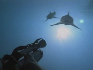 20,000 Leagues Under the Sea (Michael Anderson, 1997)
