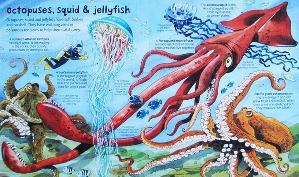 Ventimila leghe sotto i mari (Jules Verne, 2004)