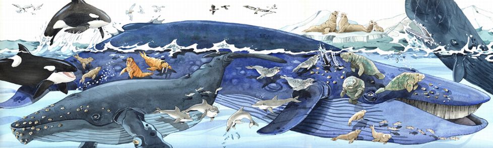 Ventimila leghe sotto i mari (Jules Verne, 2004)