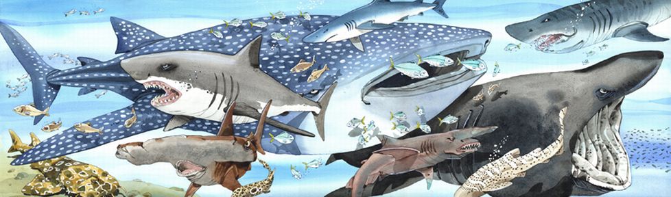 Ventimila leghe sotto i mari (Jules Verne, 2004)